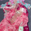 Elegant Floral Embroidered Organza Suit Set for Women